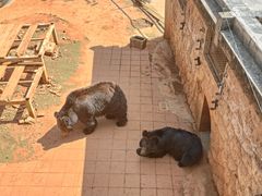 -昆明动物园