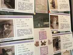 -Punchline Coffee&Roaster(同济大学店)