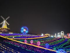 -大塘金香草谷
