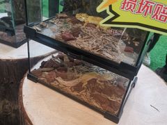 -深圳龙华星河COCO City(民治店)
