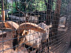 -昆明动物园