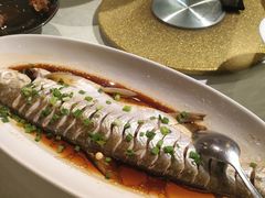 -金美华轩(东方路齐鲁店)