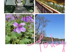 -南京市江宁方山