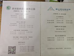 -西双版纳原始森林公园