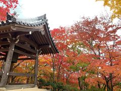 -常寂光寺