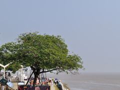 -观潮胜地公园