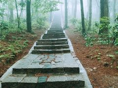 -四明山国家森林公园