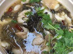 -熊猫川菜馆 panda chine