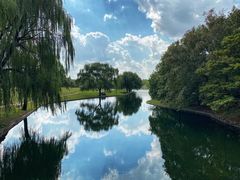 -上海共青森林公园