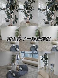 -HEYAN荷妍专业脱毛连锁机构