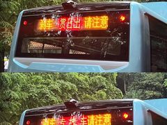 -缙云山景区
