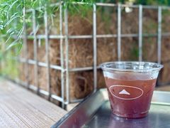 云南限定soe山橄榄-SAANCI山池咖啡(海上世界文化艺术中心店)