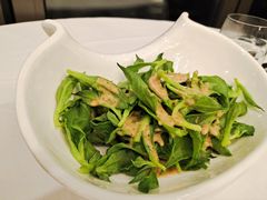 非洲冰草-長泰華府(长泰广场店)