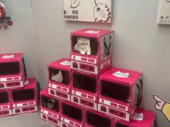-静宜和她的朋友(星海广场店)