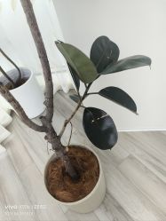 -HEYAN荷妍专业脱毛连锁机构