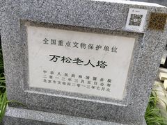 -万松老人塔