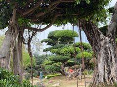 -南宁南湖公园