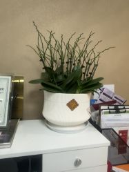-Dr.林醫生产后修复·配方产康(南京江宁万达店)
