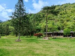 -姑婆山旅游区