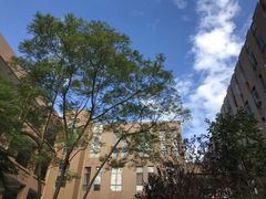 -云南艺术学院(呈贡校区)