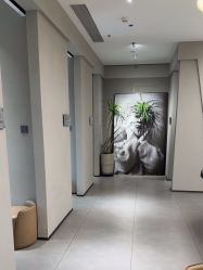 -大树儿童摄影