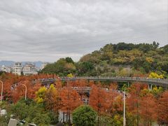 -福道