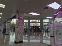 -北京妇产医院(东院)