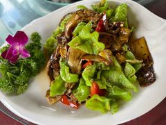 -山菌美食苑(振兴路店)