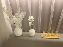 -安吉拉青春化管理中心