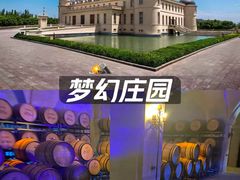-龙谕酒庄