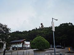 -天坛大佛