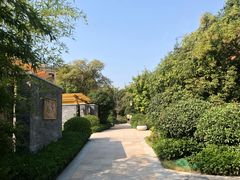 -郑州银基黄帝宫御温泉