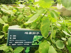 -广垦（茂名）国家热带农业公园