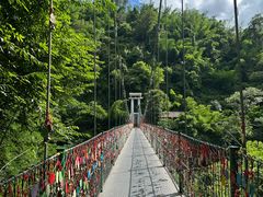 -西双版纳原始森林公园