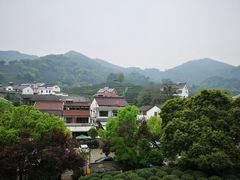 -龙井村