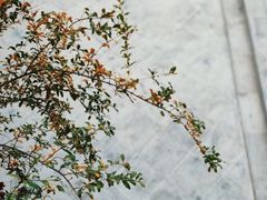 -山塘街