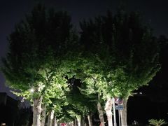 -四川大学(望江校区)