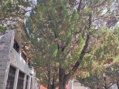 -南岳衡山风景名胜区-南岳大庙