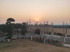 -武汉紫薇都市田园