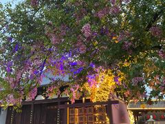 -祥源·阜阳生态乐园