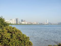 -深圳湾公园(南山区)