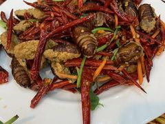 -韩风烤牛肉冷面店