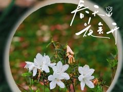 -中国科学院华南植物园