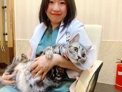 -宠爱国际动物医院·消化内科·心肾内科·ISFM猫友好(望京店)