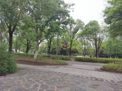 -武汉园博园(武汉自然博物馆)