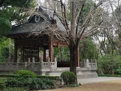 -汇龙潭
