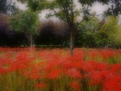 -白塘生态植物园