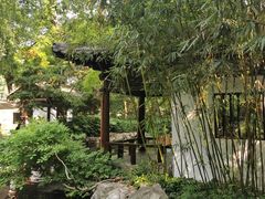 -静安公园(静安寺街道)
