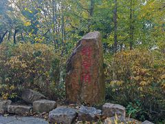 -上海市保健医疗中心