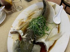 -老字号蛇口德记烧腊饭店·海鲜加工